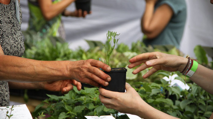 Belgique : un festival dédié aux plantes comestibles et à l’agroécologie