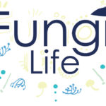 FungiLifeLogo copie