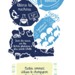 Illustration Isabel Zapata 2