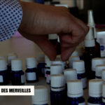 Pub odeur-LaPubAuPaysDesMerveilles