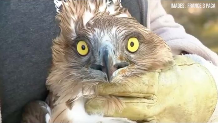 Tu vas pas mourir de rire – Démasque l’Info #13