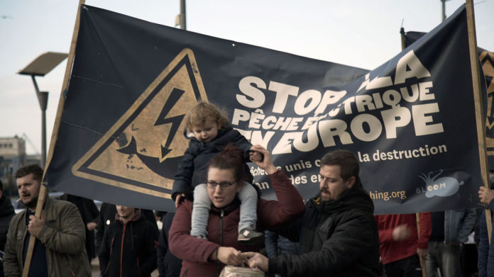 Watt The Fish : Un doc au cœur de la mobilisation contre la pêche électrique