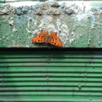 07052019-12866046473_f78871284f_o