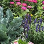 15052019-56285223_363980080995695_7007495076230201344_o