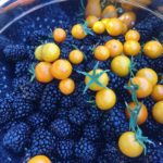 55770062_363348804392156_4415660807640055808_o