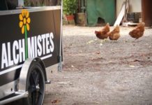 Avec « Les Alchimistes », le compostage urbain s’invite à Toulouse !