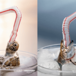 Greenpeace-Plastic-Straw-Campaign
