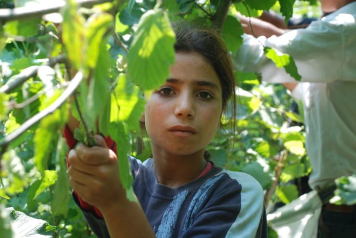 Turquie : Nutella profite de l’exploitation de réfugiés syriens, dont des enfants