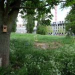 Potager fête la friche