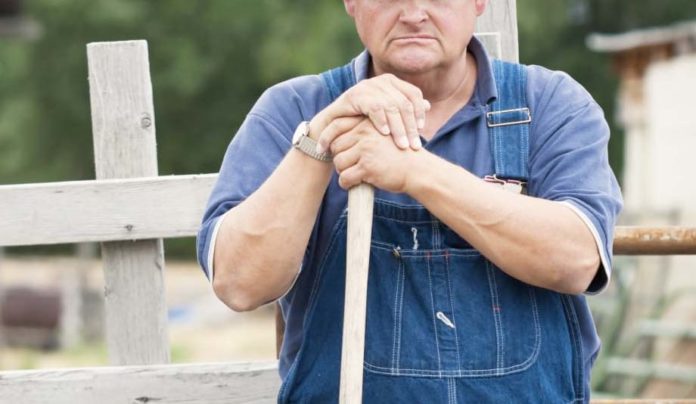 Des tomates « bio » en hiver ? des agriculteurs se rebiffent !