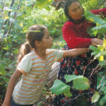 kinderarbeid-wijdverbreid-in-turkse-hazelnoot-1170×583