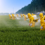 pesticides-inutiles-rapport-onu-3