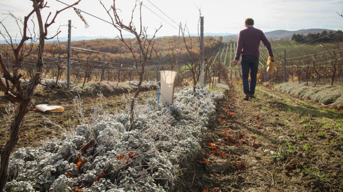 « Terres d’espérances » : rencontre avec les agriculteurs français du futur (Documentaire)