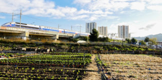 À Marseille, une ferme urbaine pour réinvestir l’espace public !