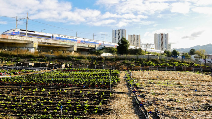 À Marseille, une ferme urbaine pour réinvestir l’espace public !