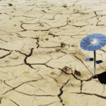 28042010-4972910503_2b0bee38cf_o