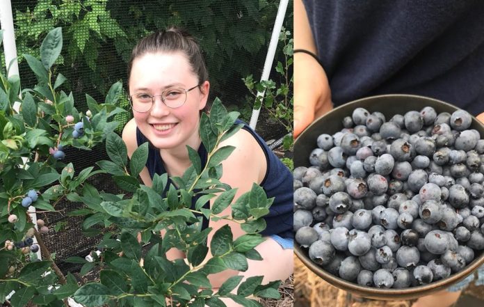 Jardinage et bonheur simple : visite du potager de Jeff Lubell