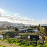 FRANCE – LES TALUS.COM – MARSEILLE