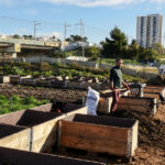 FRANCE – DUR LABEUR – MARSEILLE