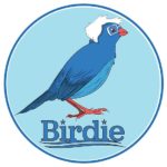 birdie