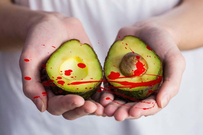 L’Avocat : un « super aliment » lié au crime organisé et à la pollution environnementale