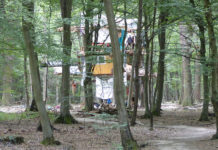 À Hambach, la résistance s’organise au cœur d’une forêt millénaire