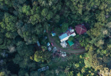 Philippines, cette coopérative a créé une « jungle » produisant du café