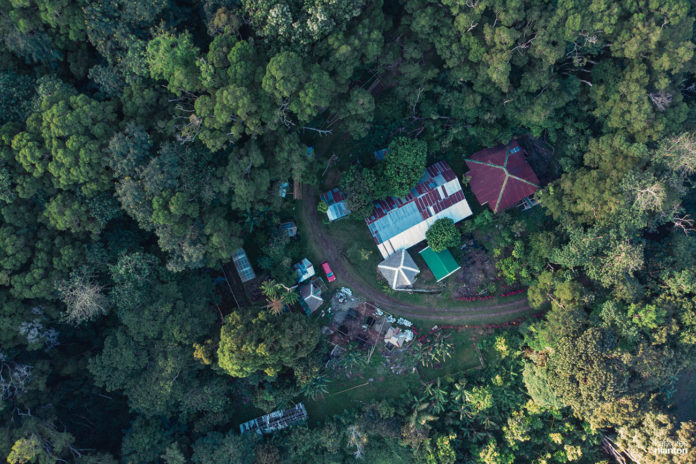 Philippines, cette coopérative a créé une « jungle » produisant du café