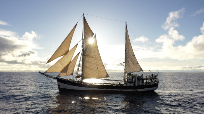 À bord du KWAI pour un nettoyage record du continent de plastique
