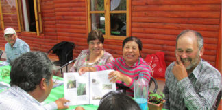 Au Chili, des centaines de semences traditionnelles sauvées de l’extinction