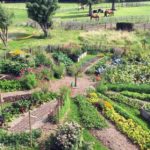 image-une-permaculture-ferme-biologique-haute-desnie-belgique