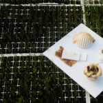 scoby-roza-janusz-packaging-sustainable-bio-design_dezeen_2364_col_13