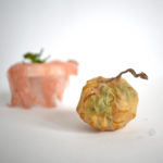 scoby-roza-janusz-packaging-sustainable-bio-design_dezeen_2364_col_6