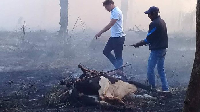 Après le Brésil, la Bolivie ravagée par des incendies monstrueux