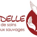 39939347_315163912571140_17