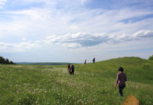 Sandrine Roudaut : « Être utopiste, c’est être clairvoyant » ou comment rester optimiste en plein effondrement