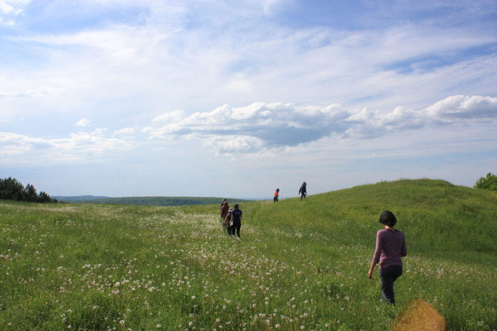 Sandrine Roudaut : « Être utopiste, c’est être clairvoyant » ou comment rester optimiste en plein effondrement