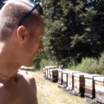 apiculteur_video_alerte