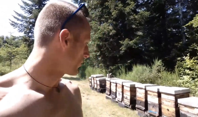 Le cri d’alarme d’un apiculteur français : « la Nature est en train de crever ! »