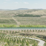 chine_mur_vert