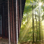 forets_industrie