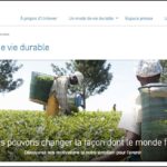 unilever_greenwashing