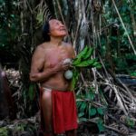 wayapi cacique