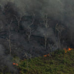 GP0STTSEP_Medium_res