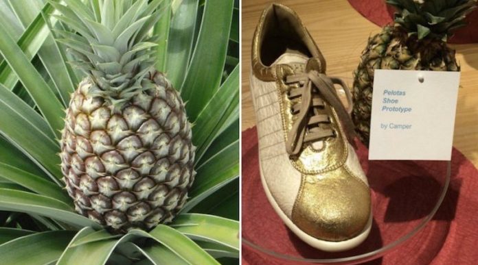 Le cuir végétal pour éviter la mort d’1 milliard d’animaux chaque année