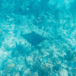 GOPR1268-2mrm