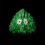 masque_web