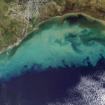 sediment_in_the_gulf_of_mexico_(2)