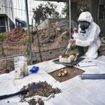Test_terrain_polluéTom-Man