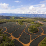 DJI_0239-40